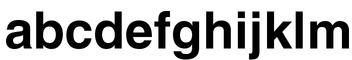 HelveticaLTStd-Bold Font LOWERCASE