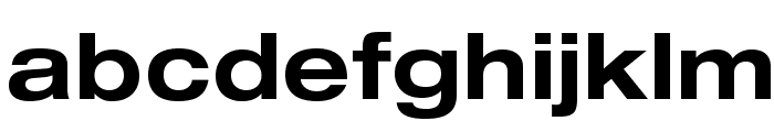 HelveticaNeueLTStd-BdEx Font LOWERCASE