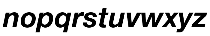 HelveticaNeueLTStd-BdIt Font LOWERCASE
