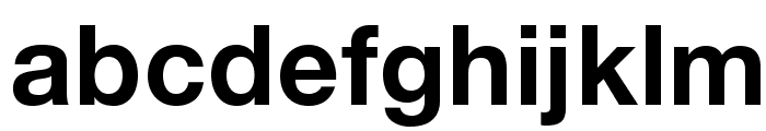 HelveticaNeueLTStd-Bd Font LOWERCASE