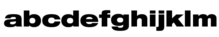 HelveticaNeueLTStd-BlkEx Font LOWERCASE