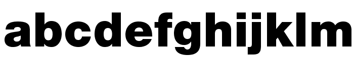 HelveticaNeueLTStd-Blk Font LOWERCASE