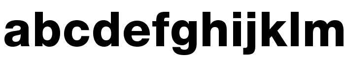 HelveticaNeueLTStd-Hv Font LOWERCASE