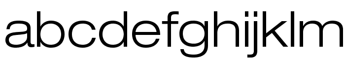 HelveticaNeueLTStd-LtEx Font LOWERCASE