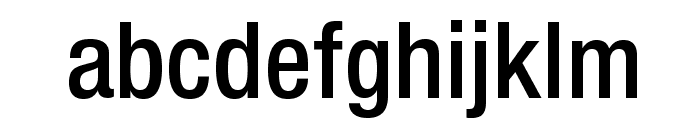HelveticaNeueLTStd-MdCn Font LOWERCASE