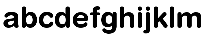 HelveticaRoundedLTStd-Bd Font LOWERCASE