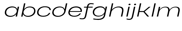 Heading Pro Extended Ultra Wide Light Italic Font LOWERCASE