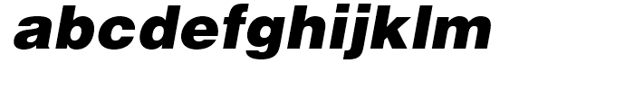 Helvetica Black Oblique Font LOWERCASE
