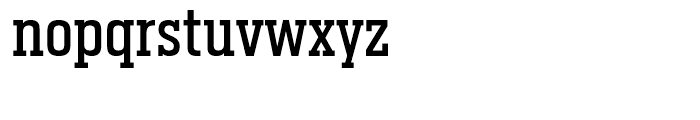 Heron Serif Condensed Regular Font LOWERCASE