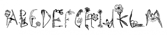 Herbarium Regular Font LOWERCASE