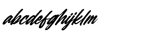 Heighaps Wastone Italic Italic FONT