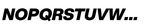 Helvetica Now Pro Display Black Italic Font UPPERCASE