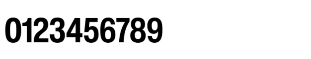 Helvetica Now Pro Display Condensed Bold Font OTHER CHARS