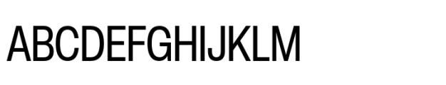 Helvetica Now Pro Display Condensed Font UPPERCASE
