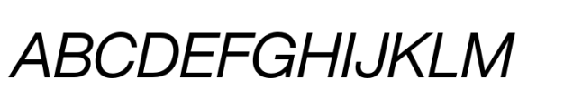 Helvetica Now Pro Display Italic Font UPPERCASE