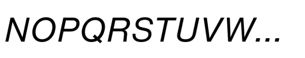 Helvetica Now Pro Text Italic Font UPPERCASE