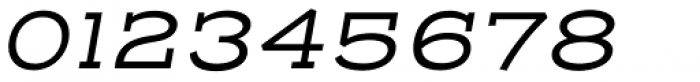 Henderson Slab Basic Regular Italic Font OTHER CHARS