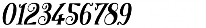 Henrician Oblique Font OTHER CHARS