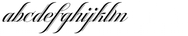 Heraldica Script Font LOWERCASE