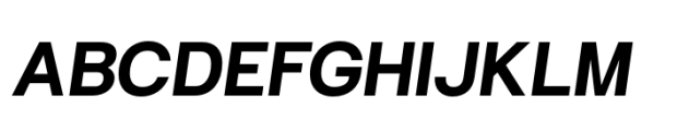 Hergon Grotesk Bold Italic Font UPPERCASE