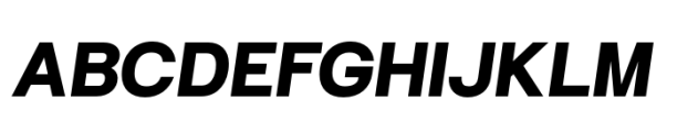Hergon Grotesk Extra Bold Italic Font UPPERCASE