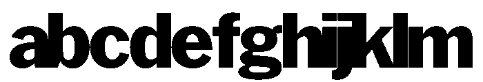 HEXFranklinv02Tyght Extrabold Instance FONT