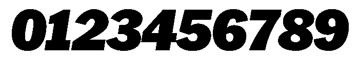 HEXFranklinv03 BlackItalic Instance Font OTHER CHARS