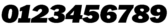 HEXFranklinv03 SemiwideBlackItalic Instance Font OTHER CHARS