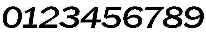 HEXFranklinv03 WideItalic Instance Font OTHER CHARS