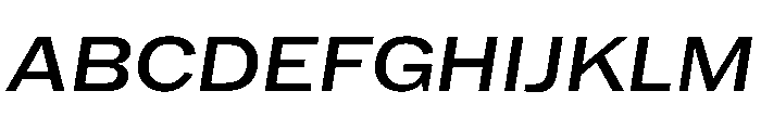HEXFranklinv03 WideItalic Instance Font UPPERCASE