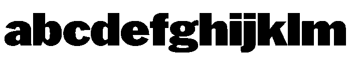 HEXFranklinv04 Black Instance Fd8ac902 FONT