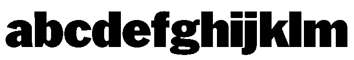 HEXFranklinv04 Black Instance FONT