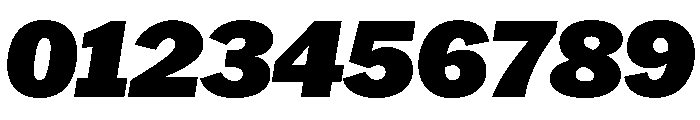 HEXFranklinv04 BlackItalic Instance B0cf4c4f Font OTHER CHARS