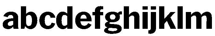 HEXFranklinv04 Bold Instance FONT