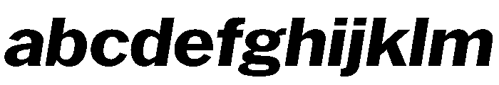 HEXFranklinv04 BoldItalic Instance 5d1c1b4d FONT