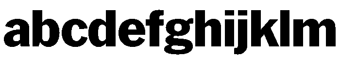 HEXFranklinv04 Extrabold Instance FONT