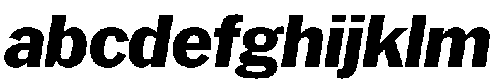 HEXFranklinv04 ExtraboldItalic Instance FONT