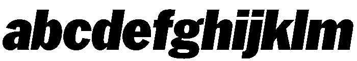HEXFranklinv04 NarrowBlackItalic Instance FONT