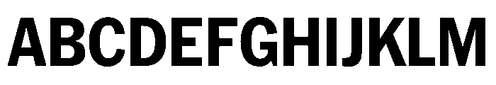 HEXFranklinv04 NarrowBold Instance Font UPPERCASE