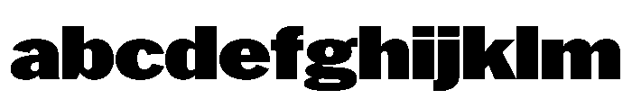 HEXFranklinv04 WideBlack Instance FONT