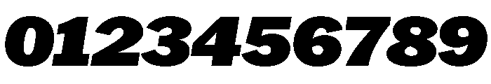 HEXFranklinv04 WideBlackItalic Instance Font OTHER CHARS