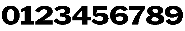 HEXFranklinv04 WideBold Instance Font OTHER CHARS