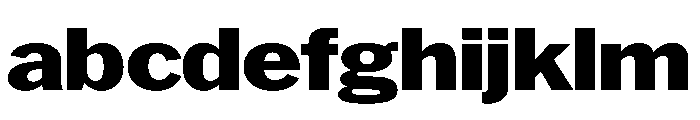 HEXFranklinv04 WideExtrabold Instance FONT