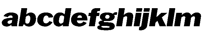 HEXFranklinv04 WideExtraboldItalic Instance FONT