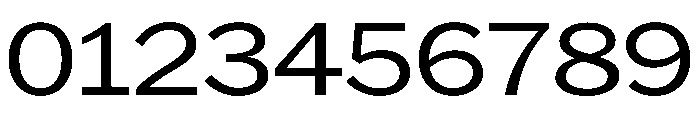 HEXFranklinv04 WideLight Instance Font OTHER CHARS