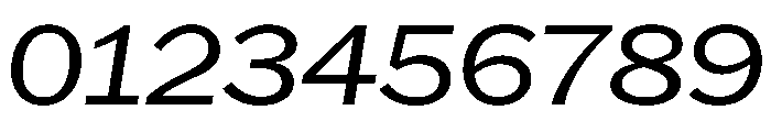HEXFranklinv04 WideLightItalic Instance Font OTHER CHARS
