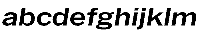 HEXFranklinv04 WideMediumItalic Instance FONT