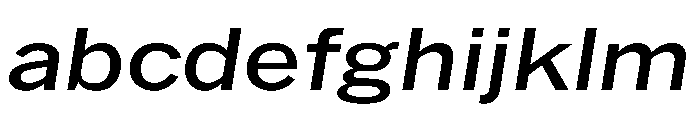 HEXFranklinv04 WideRegularItalic Instance FONT