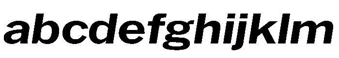 HEXFranklinv04 WideSemiboldItalic Instance FONT