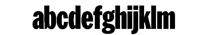 HEXFranklinv04 XCondensedBlack Instance FONT